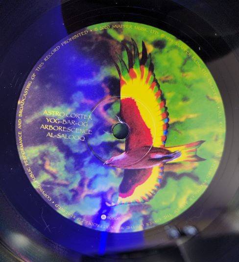 Ozric Tentacles – Arborescence